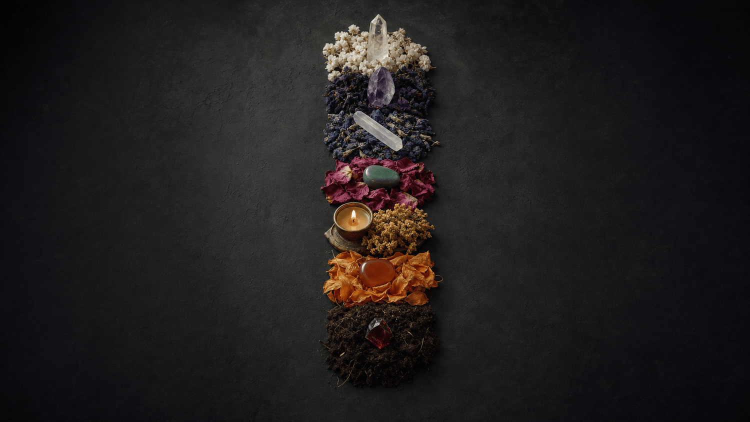 A luminous vertical energy map showing chakra points along a central axis surrounded by elemental botanical and mineral imagery, roots at the base, flame at the navel, water at the sacral center, flowing upward through light