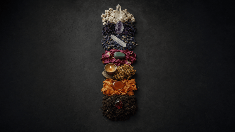 A luminous vertical energy map showing chakra points along a central axis surrounded by elemental botanical and mineral imagery, roots at the base, flame at the navel, water at the sacral center, flowing upward through light