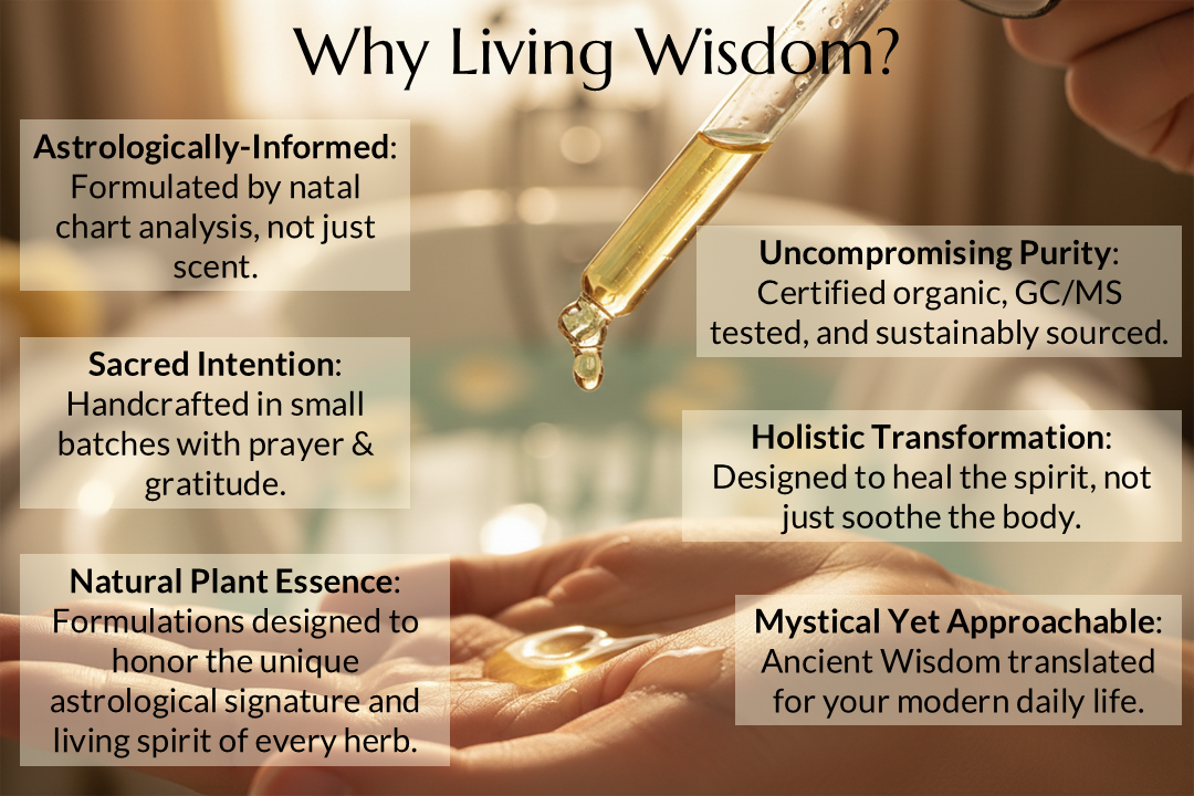 I Am Worth Investing In