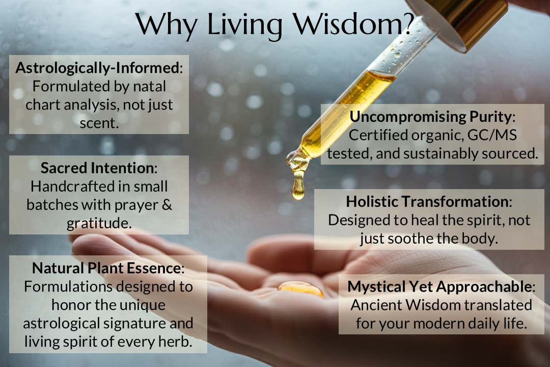 I am Fully Supported