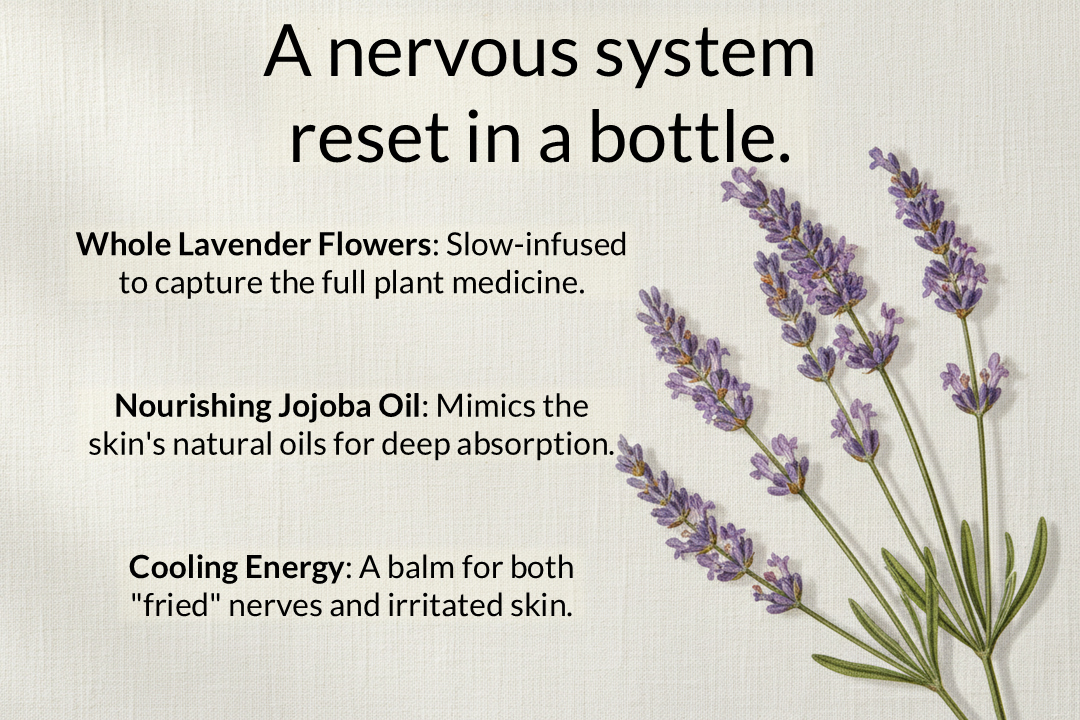 Lavender Infused Oil