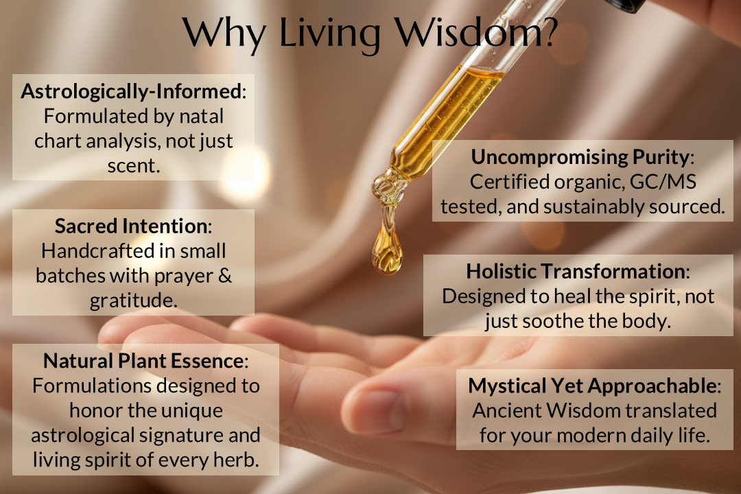 Making Peace With The Feminine