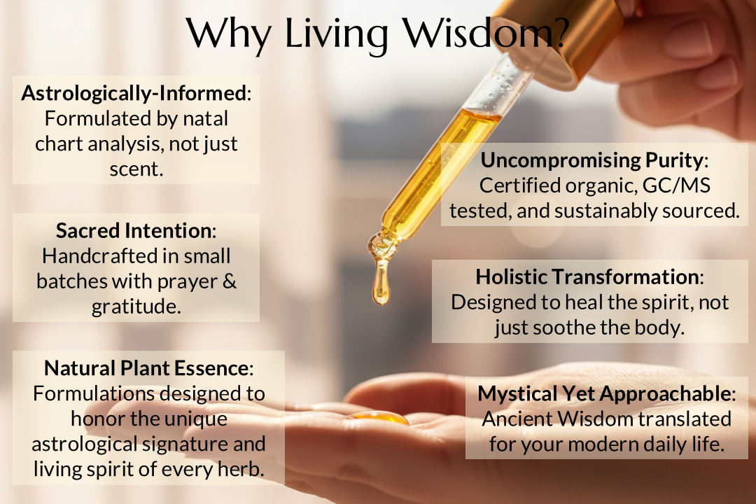 The Reluctant Leader