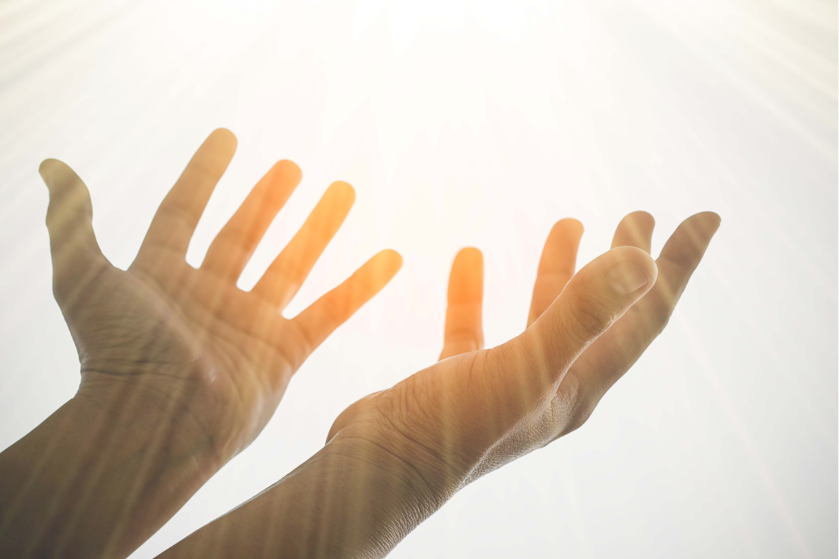 Living Wisdom Apothecary