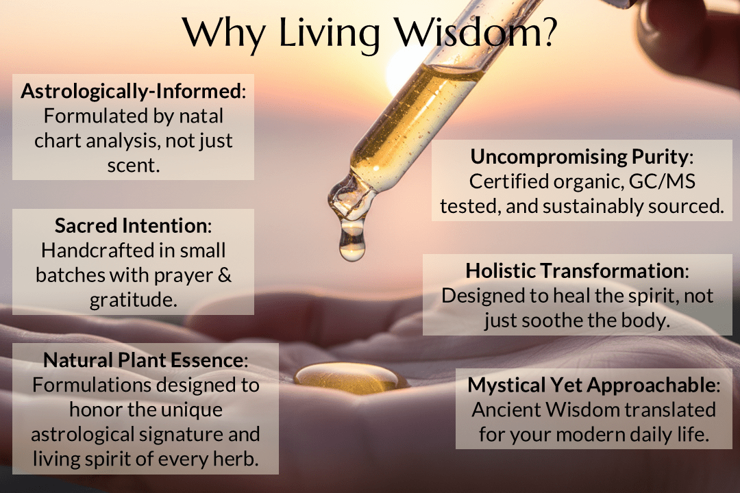 Abundant Truth