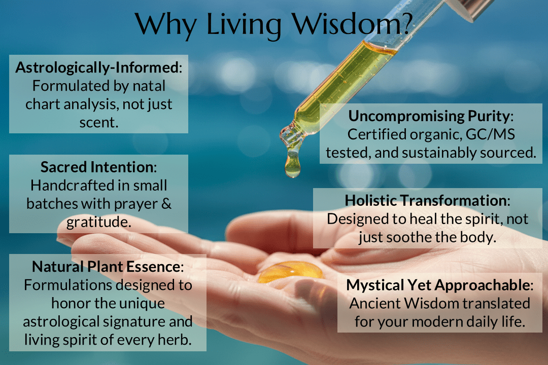 Flow of Life