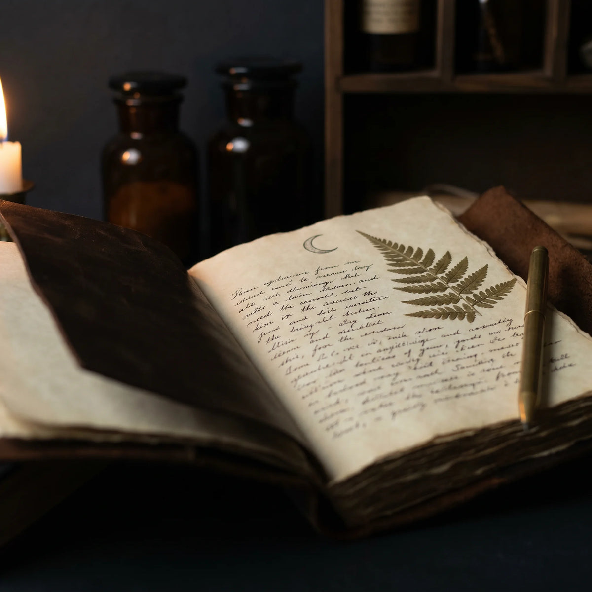 Lunar Journaling Guide: A Cycle-by-Cycle Inner Practice — practice illustration